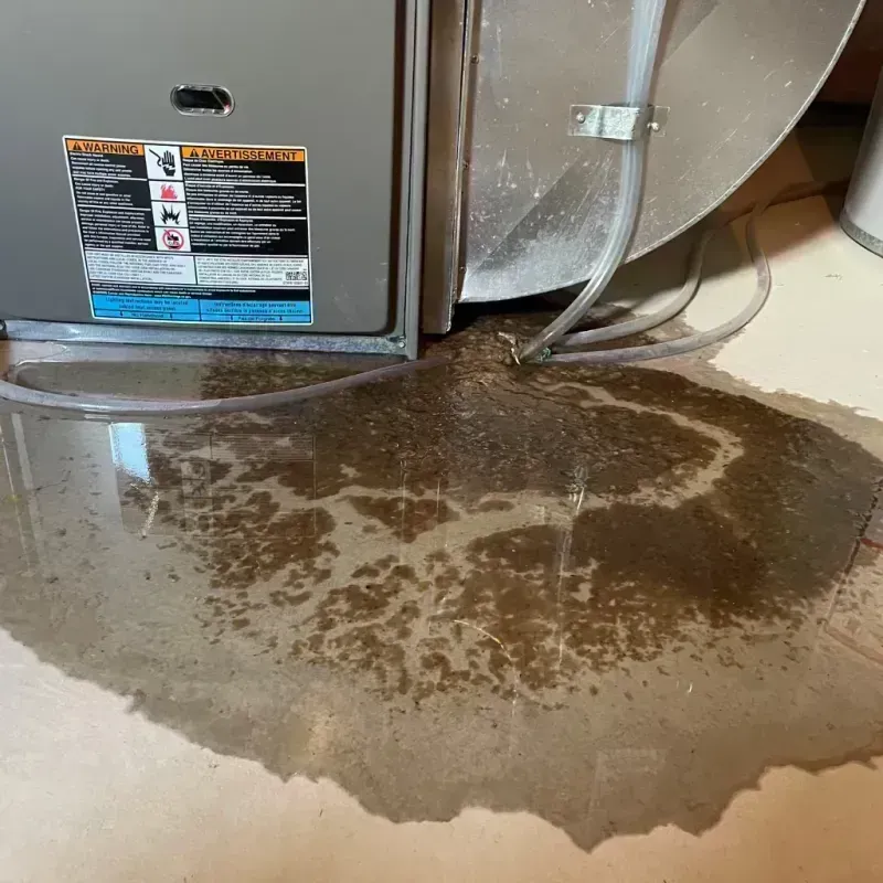 Appliance Leak Cleanup in Hilton Head, SC